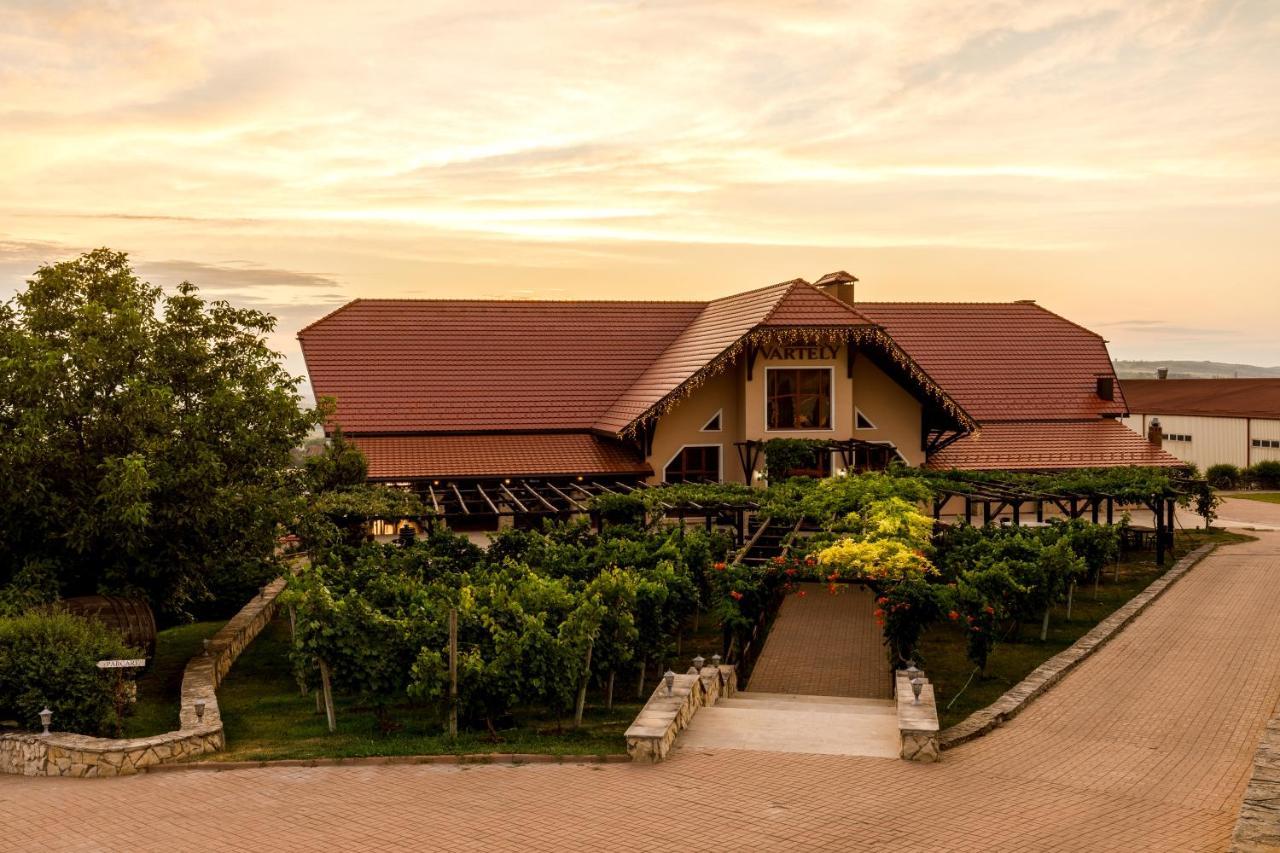 Chateau Vartely Orhei Extérieur photo